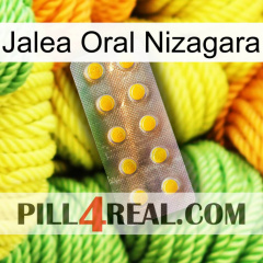 Nizagara Oral Jelly new11